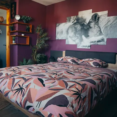 Romantique Avec * Perpignan